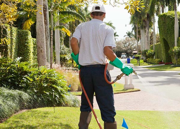 About Breinigsville PA Pest Control Pros